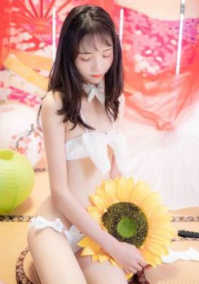 开发三味樱花动漫